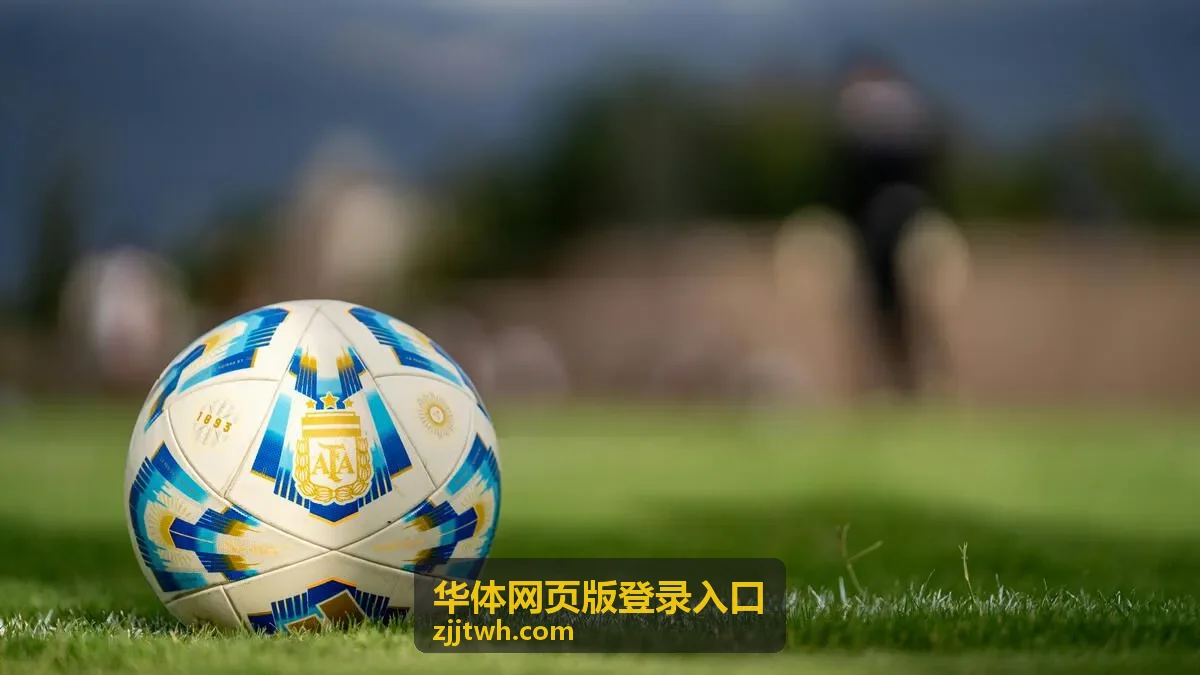 华体网页版登录入口登录提示信息处理场景